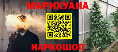 прущие грибы Лесосибирск