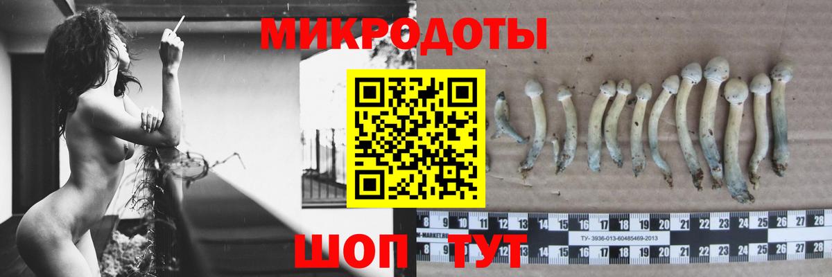 Смоленск  Псилоцибиновые грибы MAGIC MUSHROOMS  Вход с VPN  Галлюциногенные грибы Cubensis 