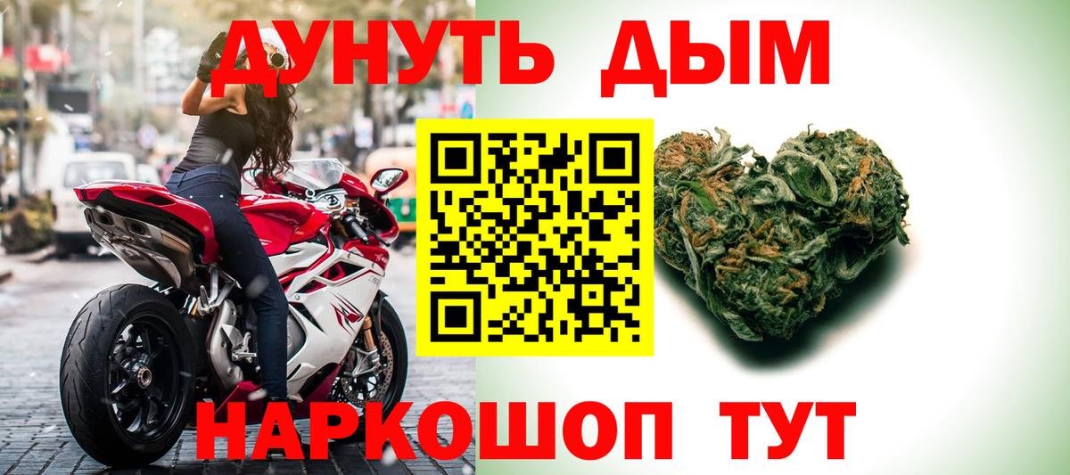 Каннабис сатива Смоленск